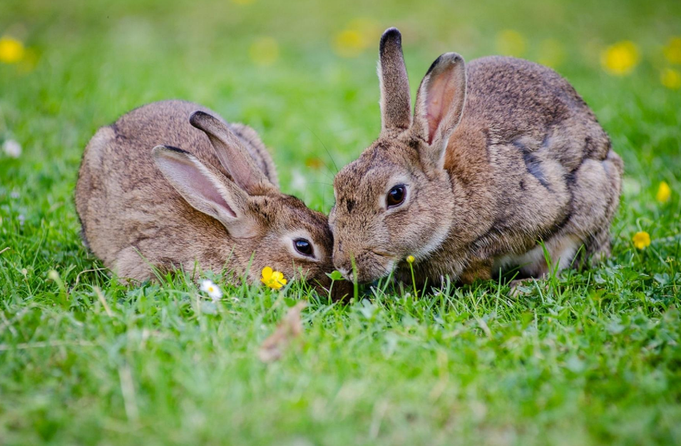 人离不开盐，十天不吃盐身体就“亮红灯”，那原始人怎么办？