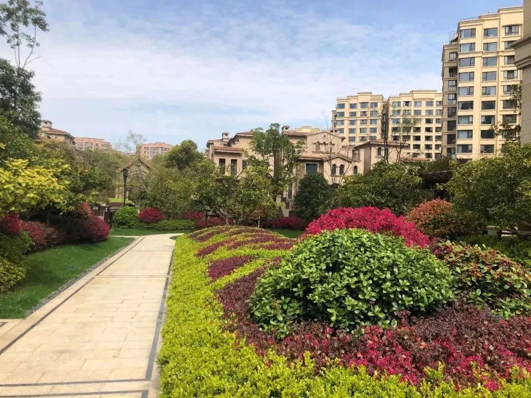 2022年松江新房指南