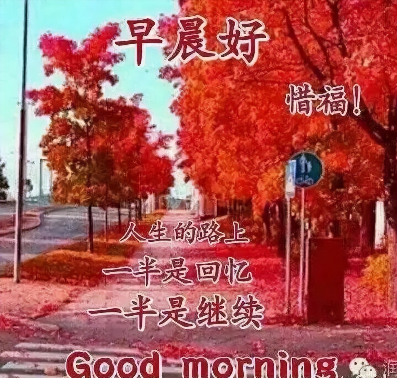 五月早上好朋友 非常漂亮的早上好图片带字 相信自己 明天会更加美好图片