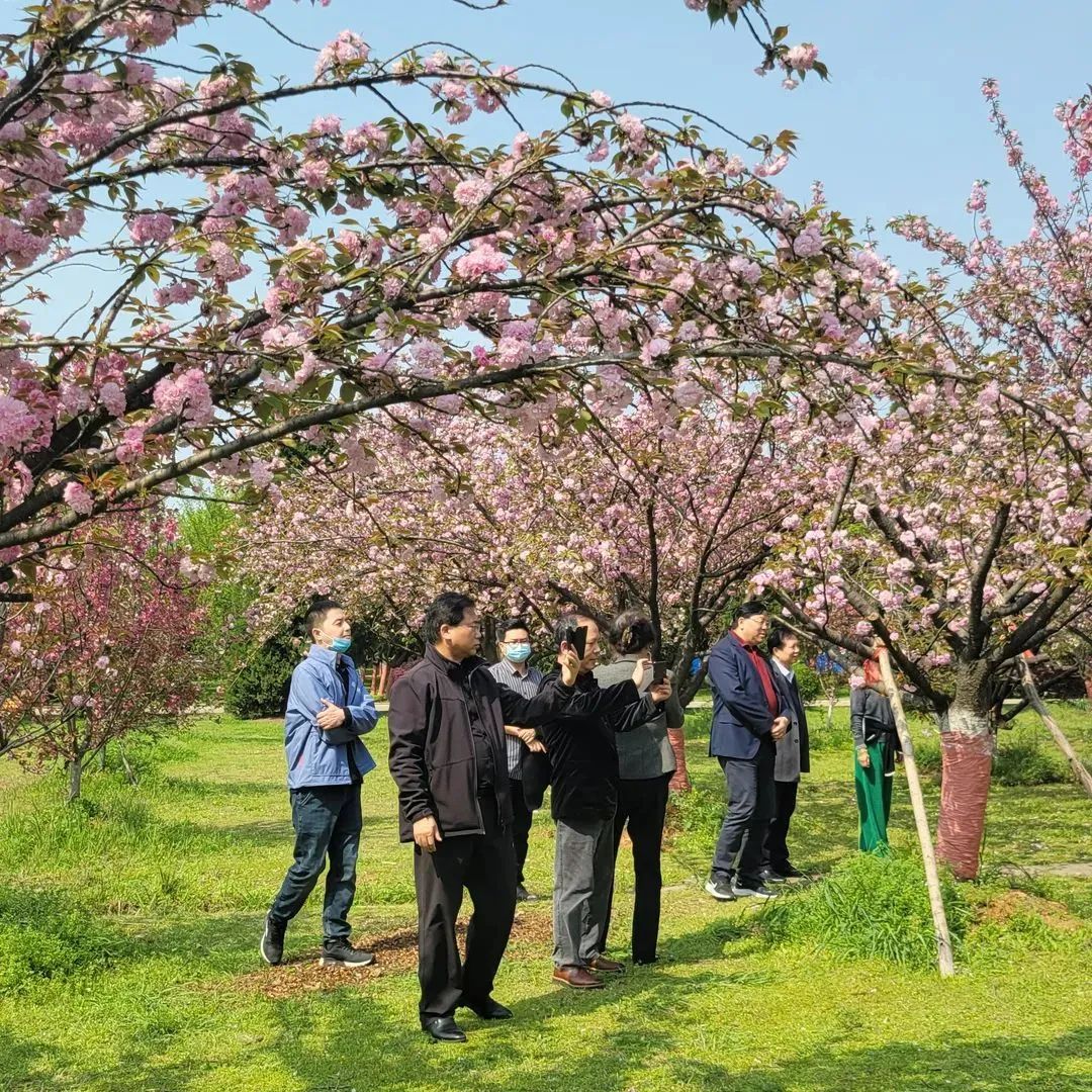 汉口学院：鸟语花香迎春归 诗情画意游诗会（多图）