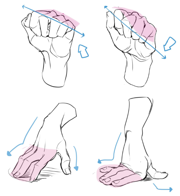 绘画初学者如何正确画手？教你基础的手部手势绘制思路