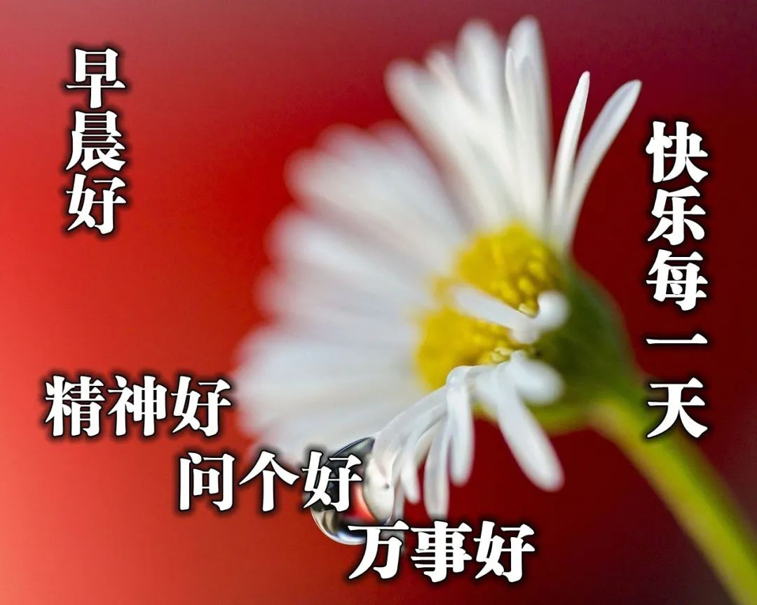 美好的一天美好的开始 早安最美祝福送给你 健康是财富 知足最快乐图片