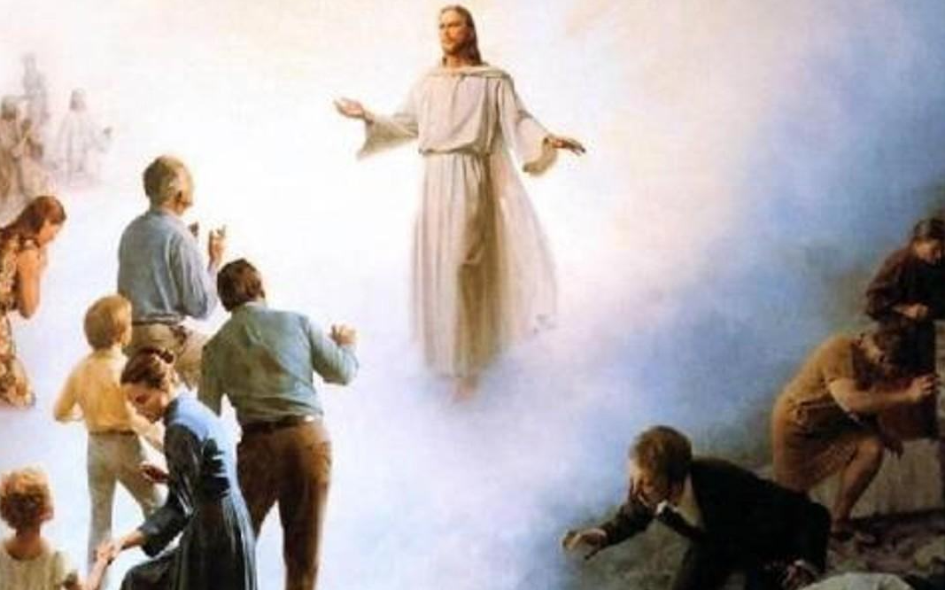 ��������ձ�ѡ�����˥�ϣ��������������⾿����Ϊʲô��