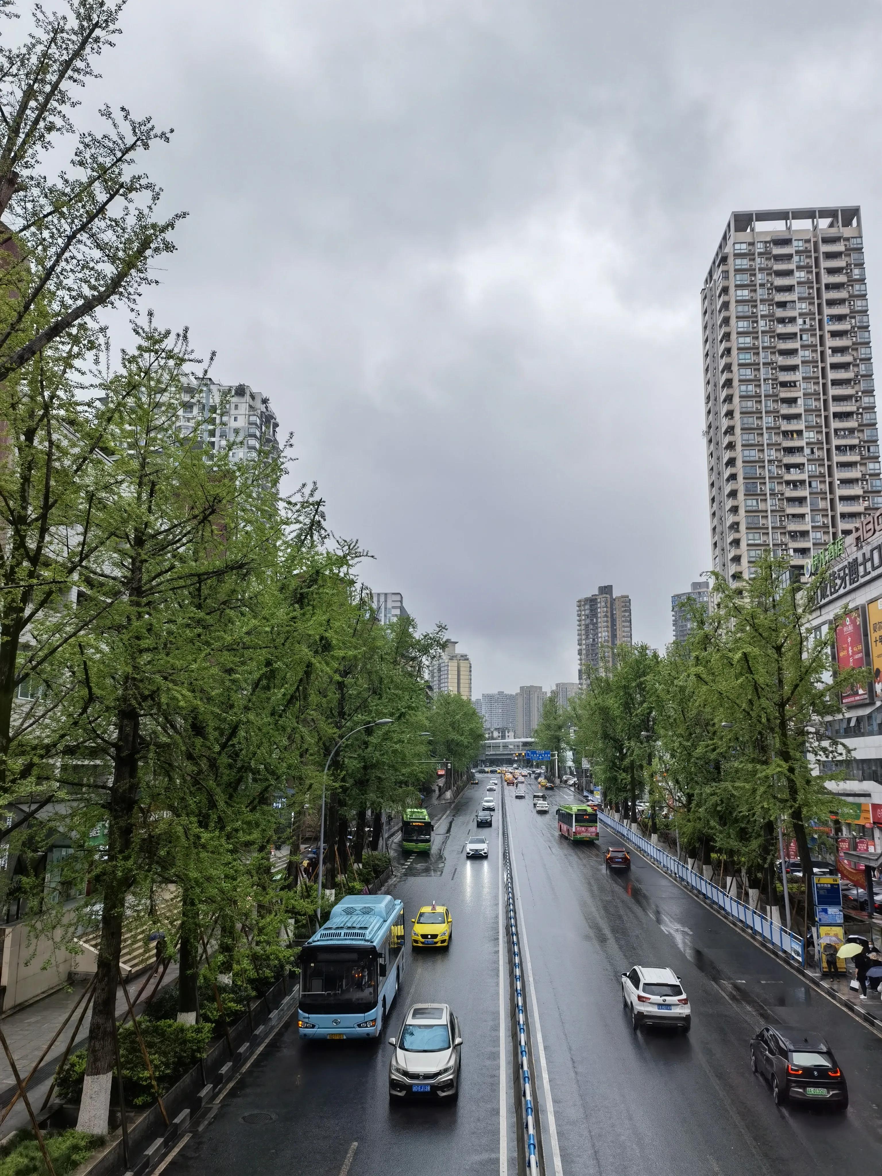 「散文」春雨中的雾都重庆