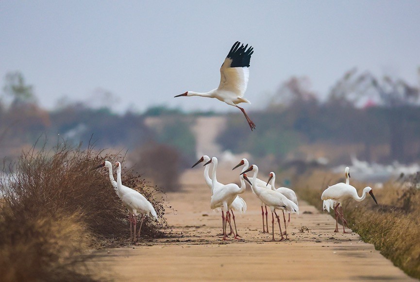 世界地球日（The World Earth Day），让我们用影像珍爱地球