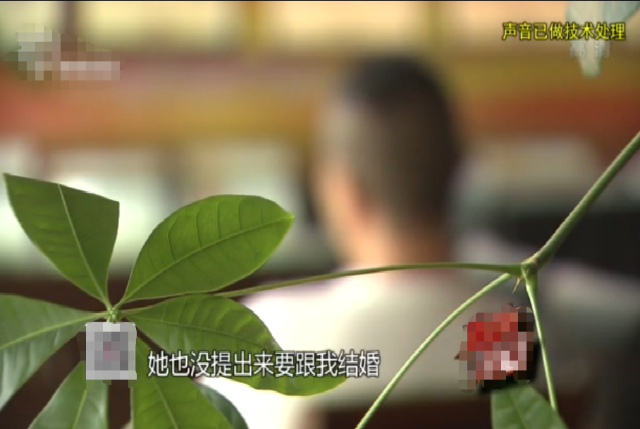 19年上海富商包养情人，生仨娃花掉2000万，后得知：娃都不是他的