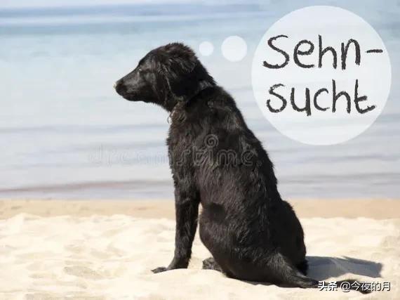 总结容易出爆款的16种自媒体文章标题，不仅阅读量高，涨粉也快