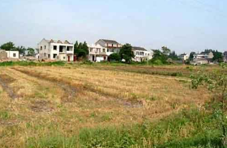 16年前，那个高考故意交白卷的河南“零分少女”，如今怎样了？