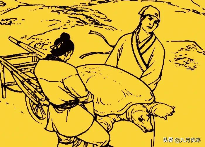 神话故事：男子抓到千年老龟，老龟说烧光南山的柴，也奈何不了我