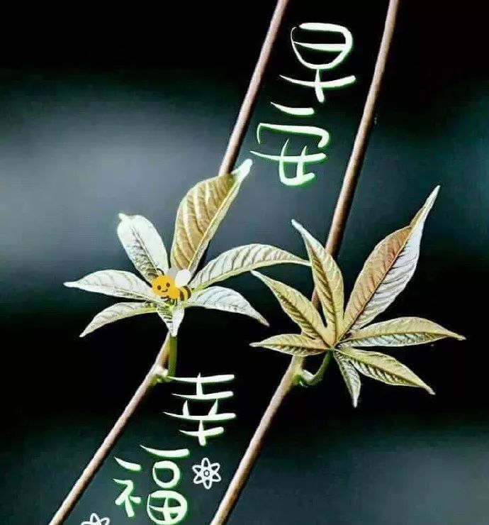 秋日渐冷，美好祝福，愿平安健康每一天，早安喜乐，一切美好如意图片