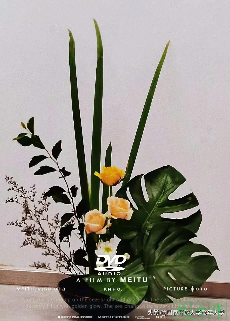 在校园·良作 | 不仅是艺术，更是生活！——《插花初级班》师生作品