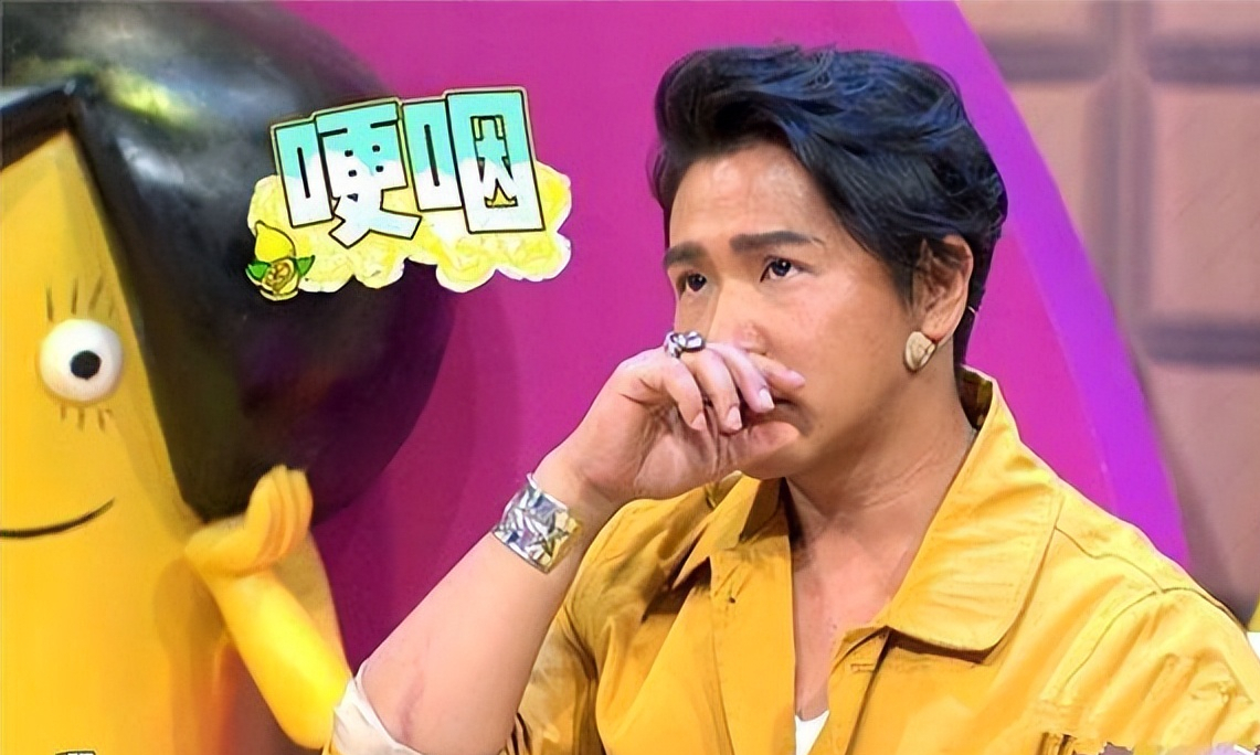 优秀全靠搭档，单飞一落千丈，拆伙就不行的主持名嘴们，能怪谁