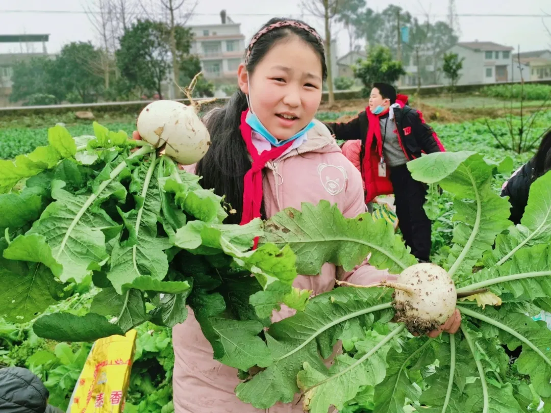 「城南小学•德育工作」小基地大收获 劳动实践快乐多