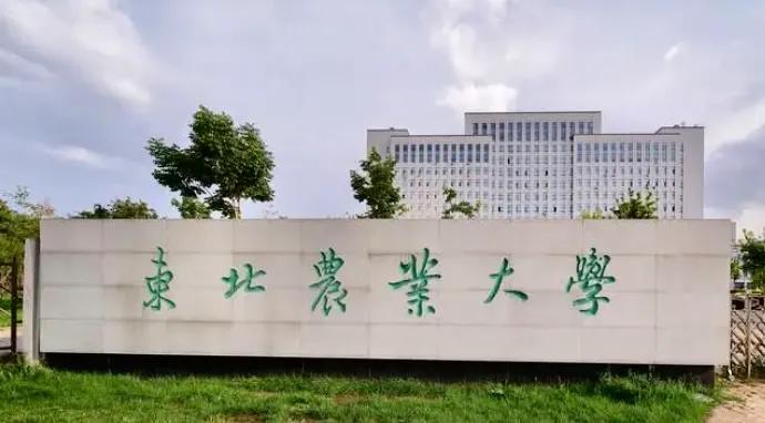 确定！黑龙江大学未入选双一流！中医药大学入选概率怎么样？