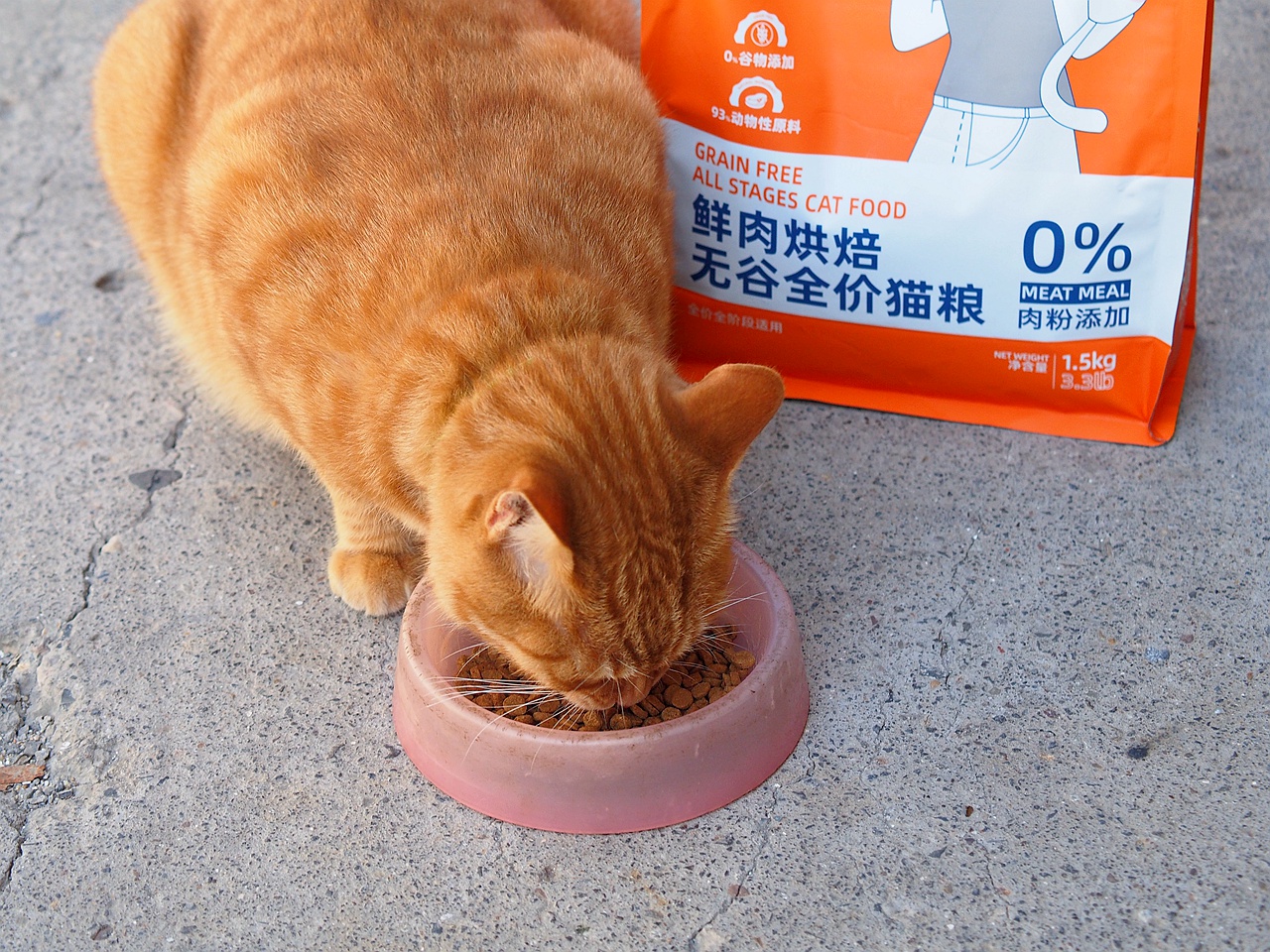 无谷鲜肉配方，宠熙猫粮毛孩子爱吃的猫粮