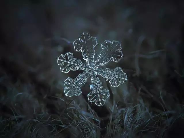 唯美雪花！