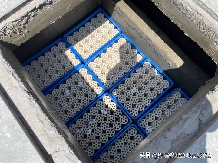 煦瑞生态水如何把拆除的旧池建造成标杆鱼池？鱼池过滤系统揭秘