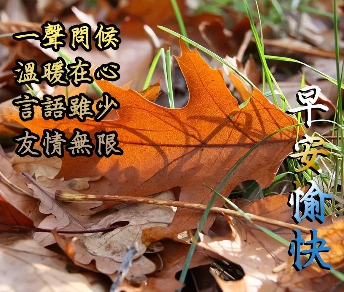 清晨微信早安美好祝福，祝你早安顺心，万事大吉，心情漂亮如花图片