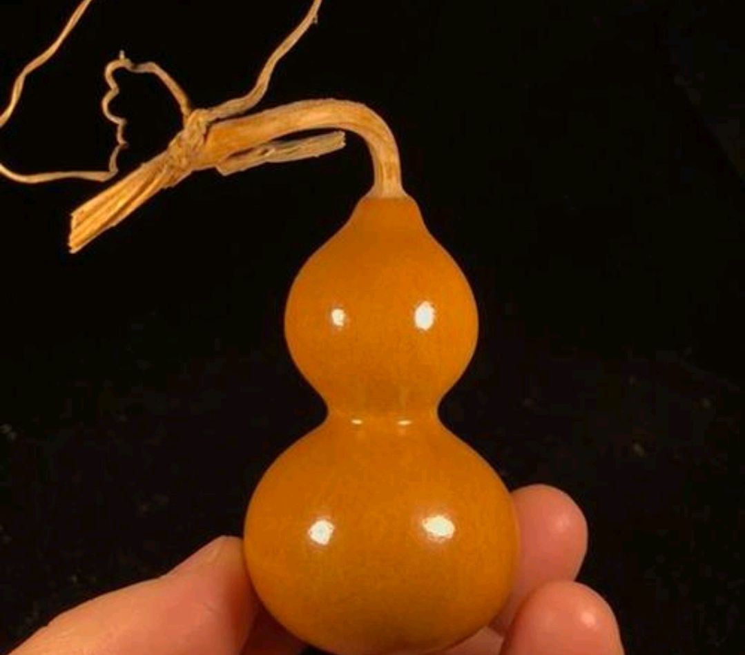 其他地方能挂葫芦吗?