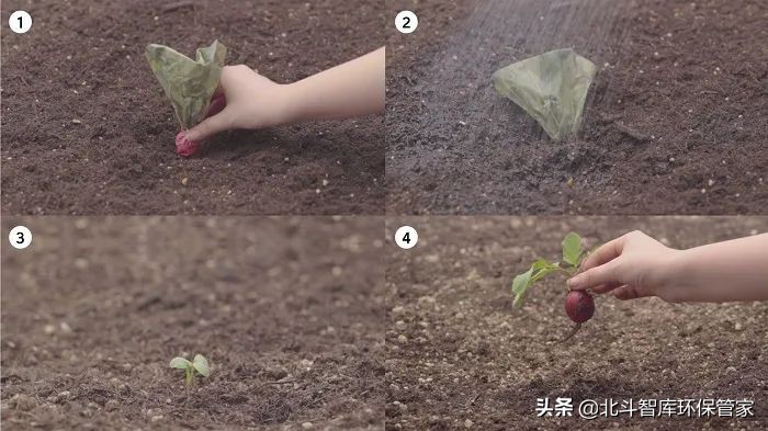 冲厕水酿啤酒？松针变收纳？这些环保创意让人耳目一新