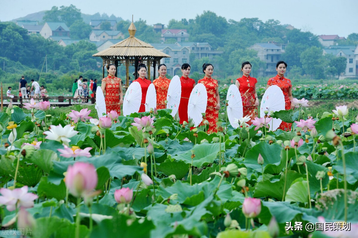 青年失业率再创历史记录，“上山下乡”或将重启，谁会下沉乡村？