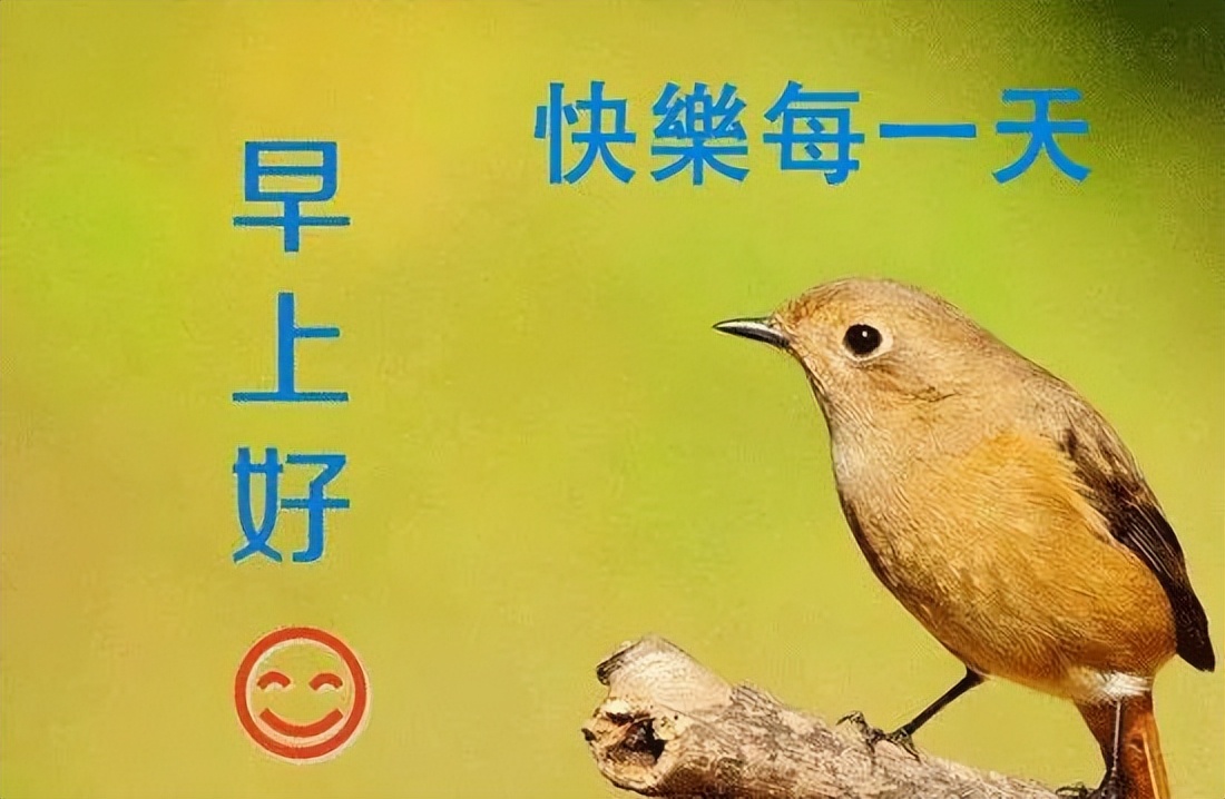 早上好表情包动图更新，天天开心，平安顺心，一笑解千愁图片