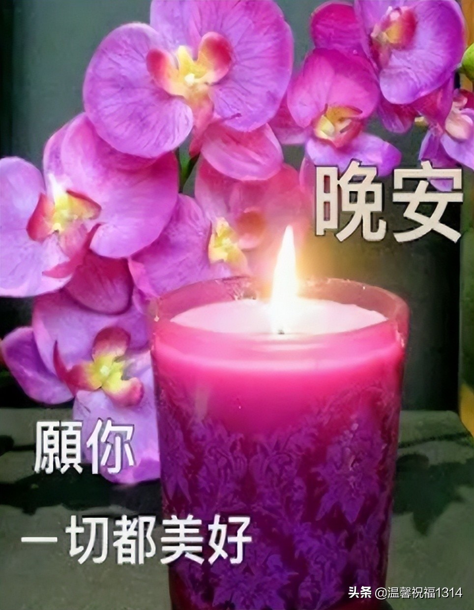2022最精美的晚上好表情图片,温馨的朋友圈晚安句子