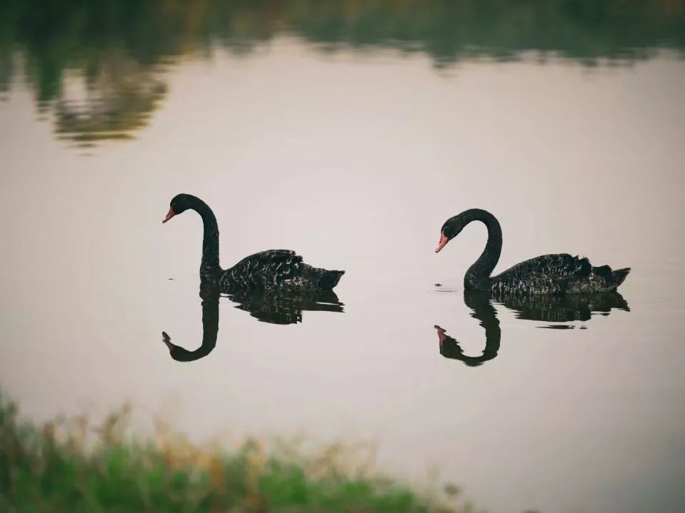 倒计时1天，高考加油！四川大学已准备好，等你赴约！