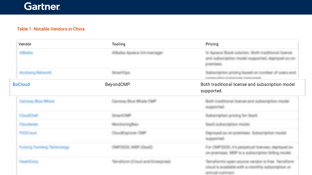 博云入选 Gartner 中国云管理工具市场指南代表厂商