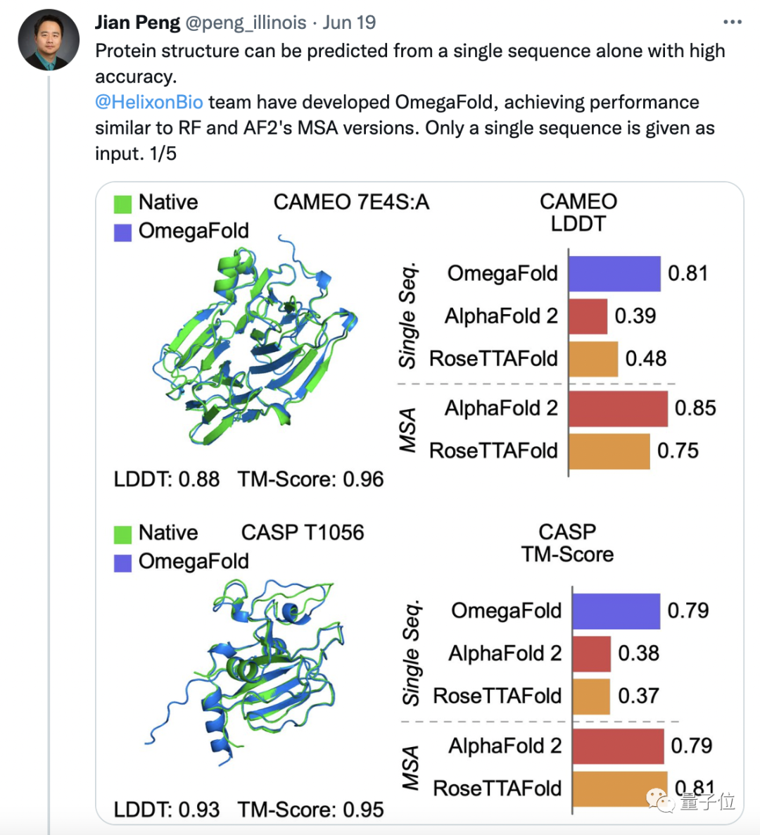 国产AI蛋白质结构预测再现突破，用单条序列解决3D结构