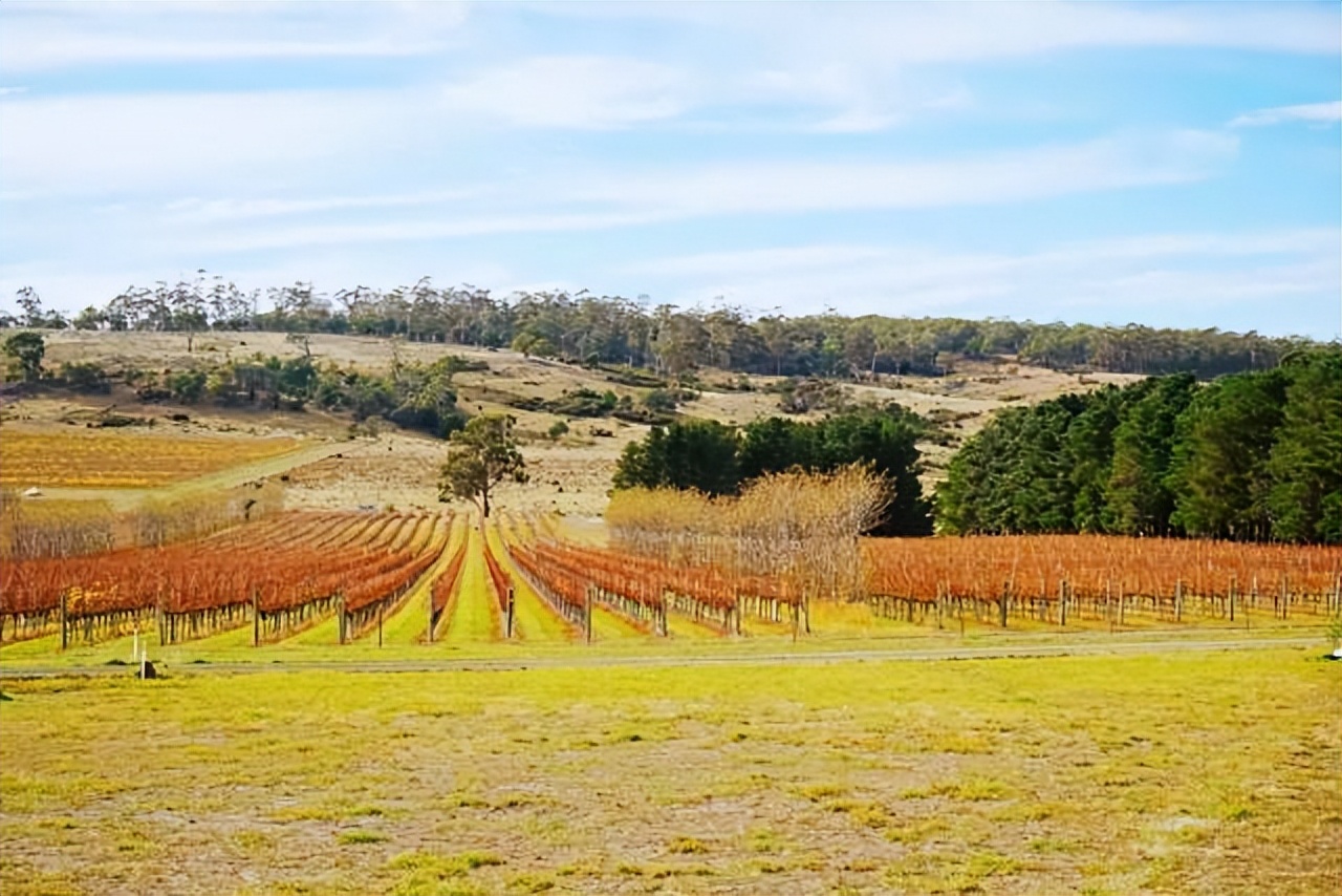 魔改集装箱酒庄：魔鬼角