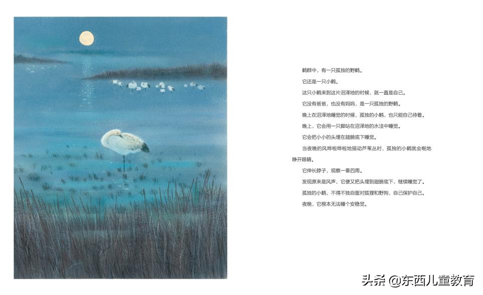 圣诞节没有惊喜（圣诞节给什么惊喜给她）