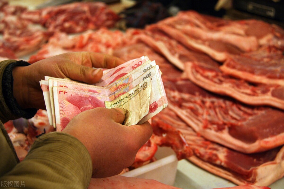 毛猪一斤8元，猪肉一斤15，“猪跌肉涨”的背后，到底是什么逻辑