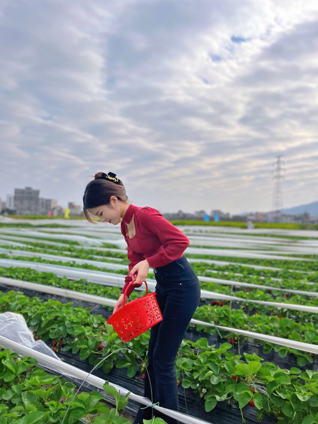 冬天和摘草莓更配噢