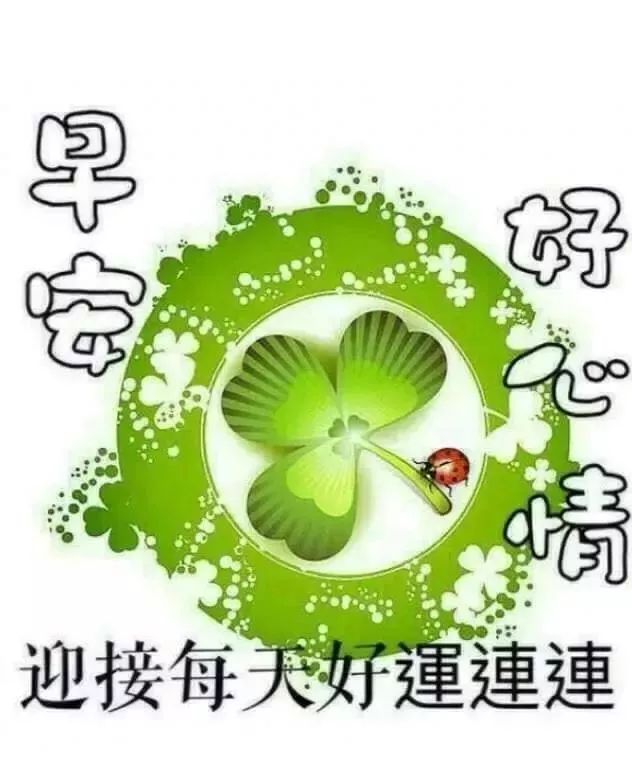 周日清晨早上好问候祝福动态表情图片 美好早晨送你快乐健康图片