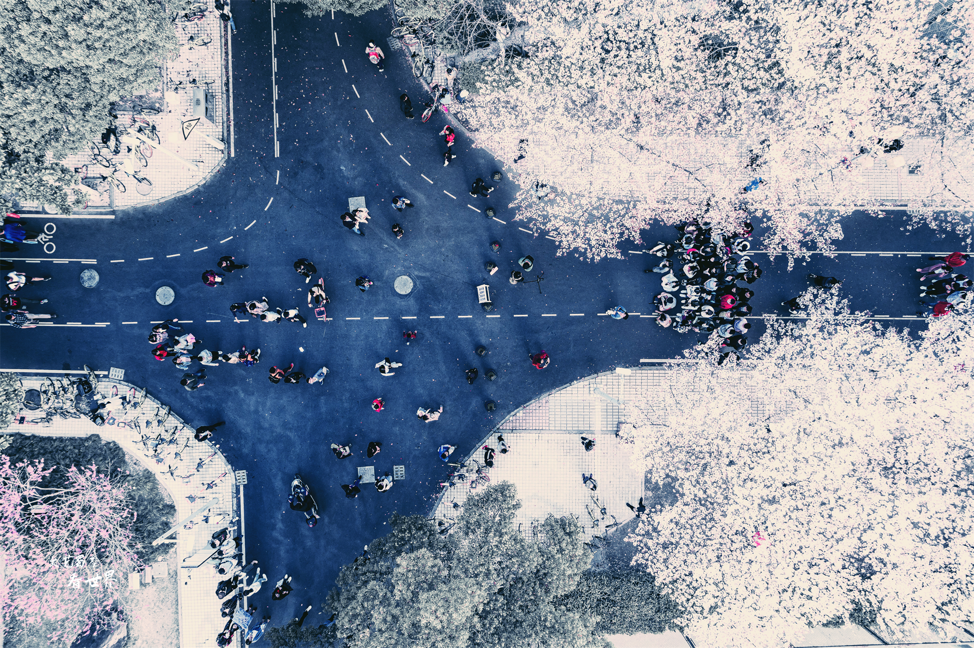 中国10所最美的大学，堪比5A景区，孩子们能在那里读书可真幸福