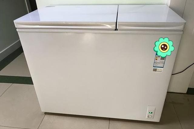 真的是没想到,曾经在大街小巷已经绝迹的冰柜,竟然又走红了 - 114货源