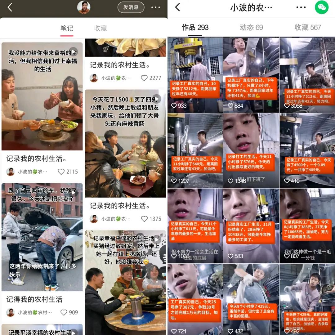 不止“张同学”，互联网到处是“农村”网红