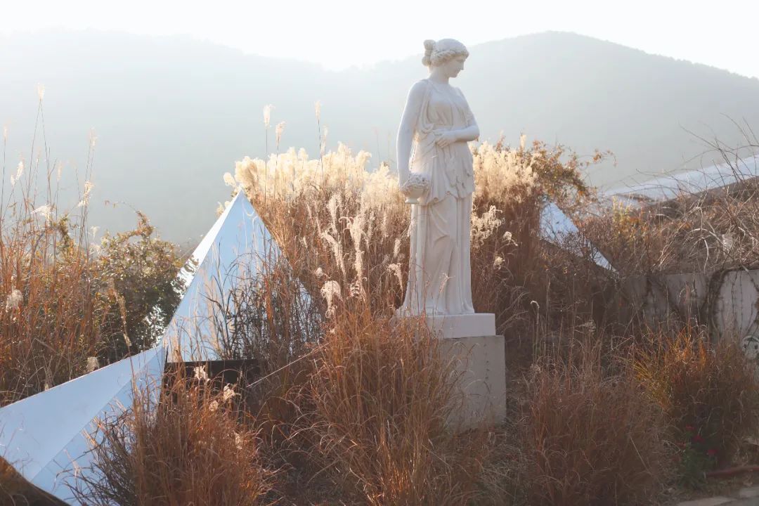 苏州新晋网红艺术街区，不用去法国，就能遇见卢浮宫！周末走起