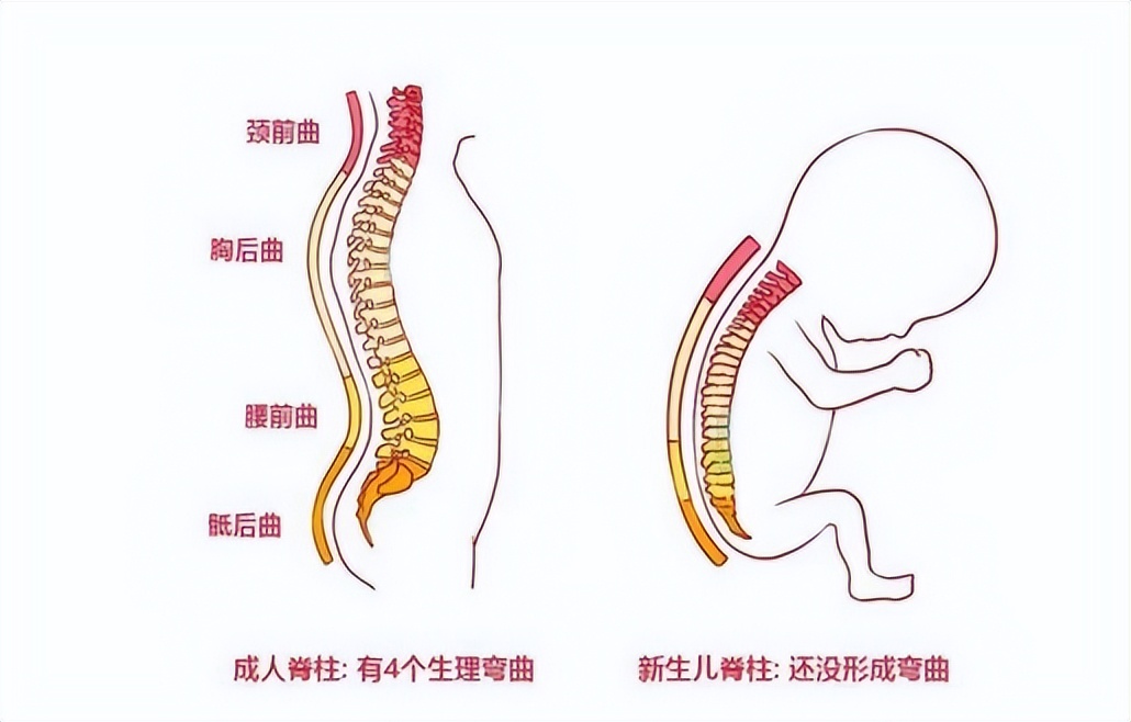 宝宝哭闹时为啥竖抱后立马就停止哭闹？原来和宝宝的智力发育有关