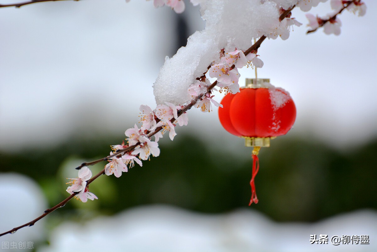 银装素裹分外妖娆，看点评学摄影，把雪景照片拍出新意