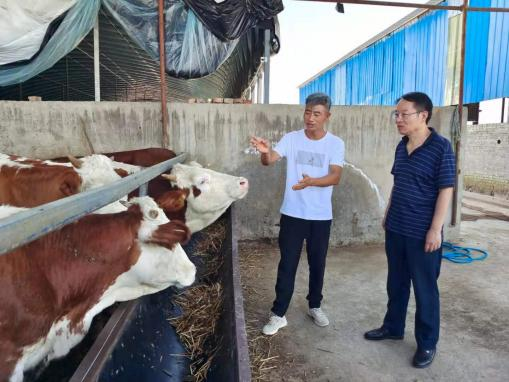 肉牛體系崗位專家董少鋒獲省級高素質(zhì)農(nóng)民領軍人才稱號