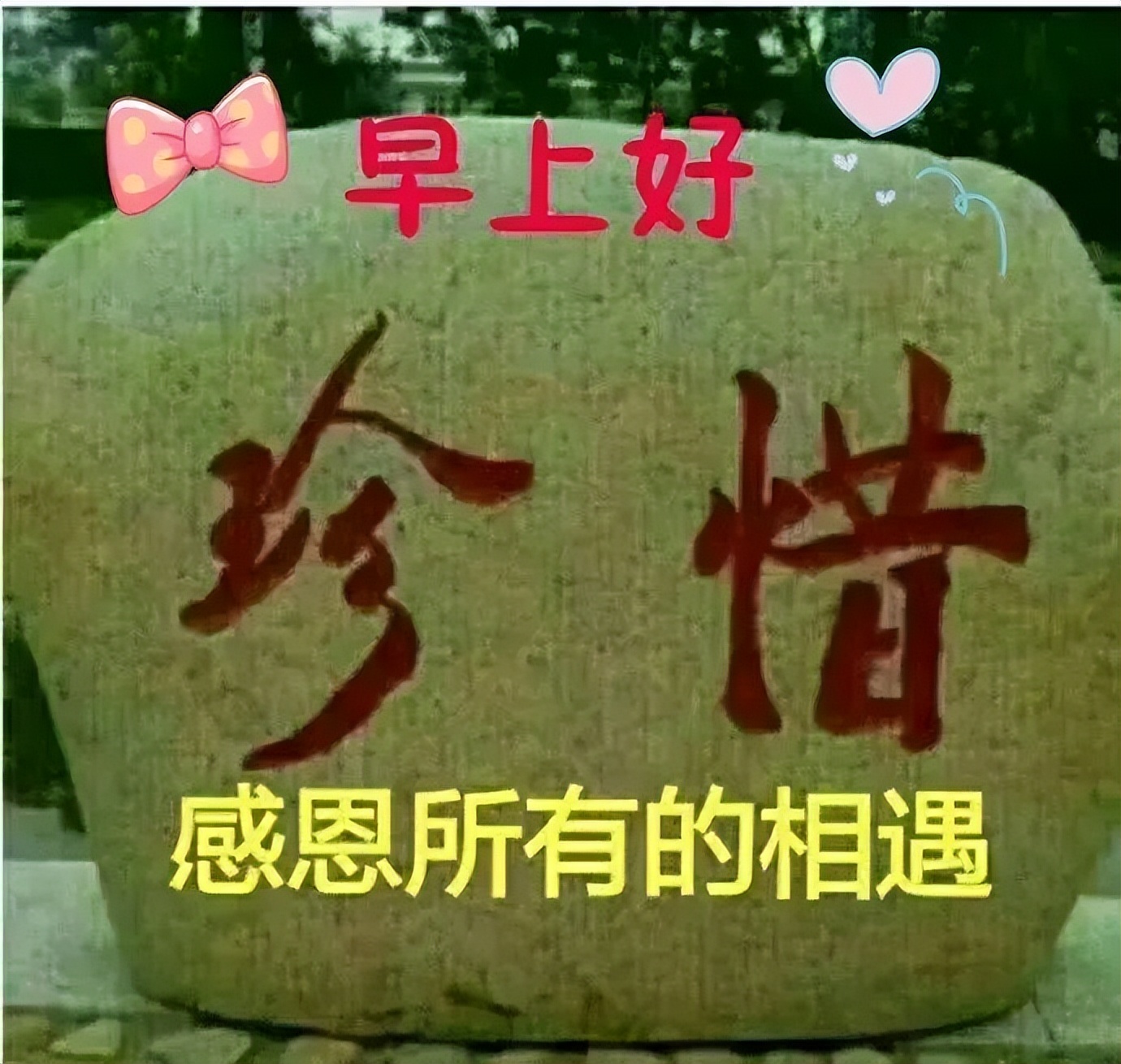 新的一天微信早上好的问候语图片 问声早安、心中舒坦图片