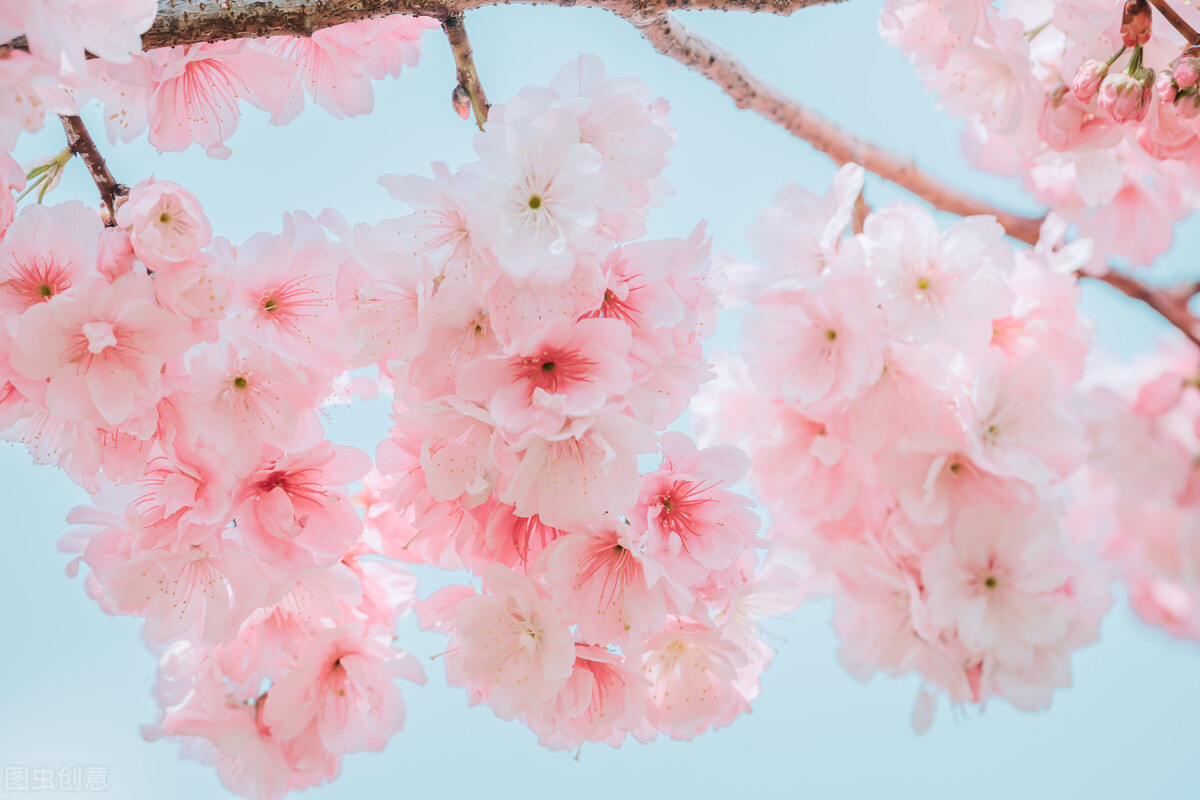 容易被孽緣纏上的星座 天天看點