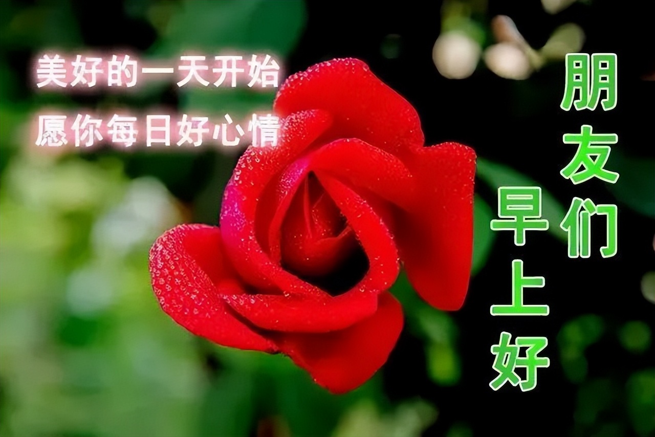 早上好祝福寄语 早上好问候图片大全 从平凡看生活会看见快乐图片