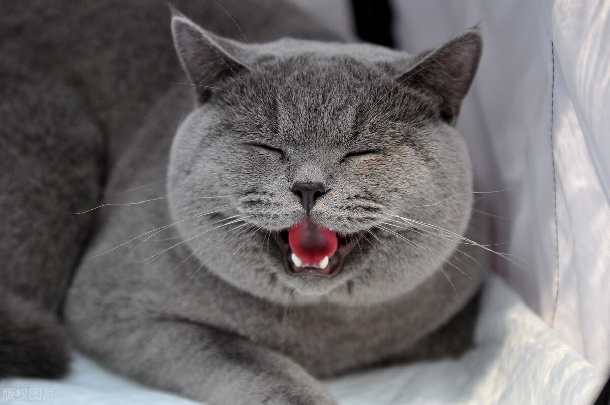 三峡大学研究生好考吗（注意）