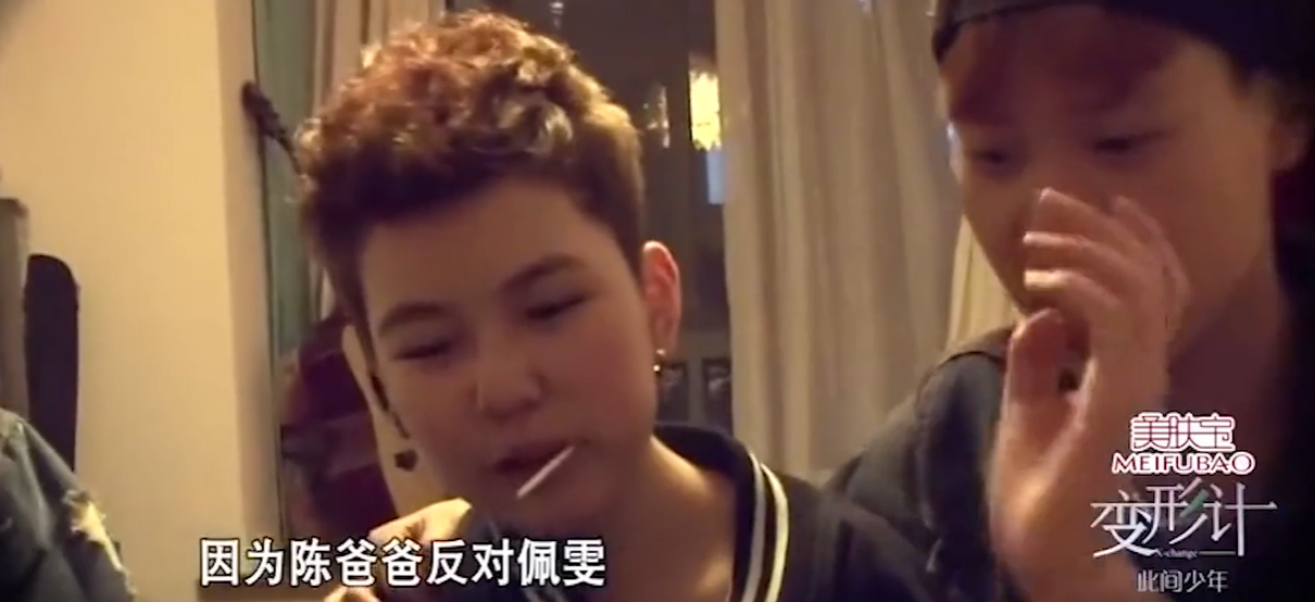 《变形计》里与李宏毅打架，14岁辍学的陈佩雯，如今却整容过度？