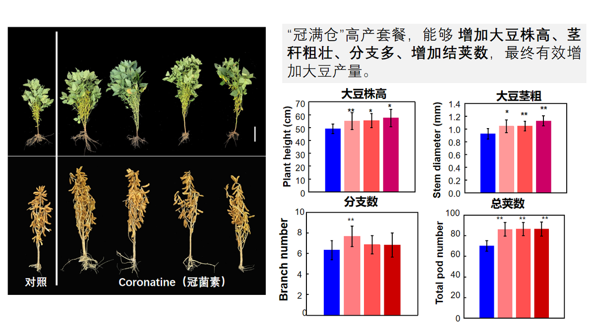 植物生长调节剂（被称为划时代的植物生长调节剂）