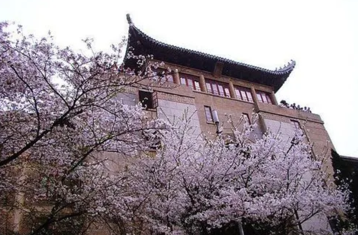 17年前，与瘫痪父亲相依为命，高考763分的广西女孩，现状如何？