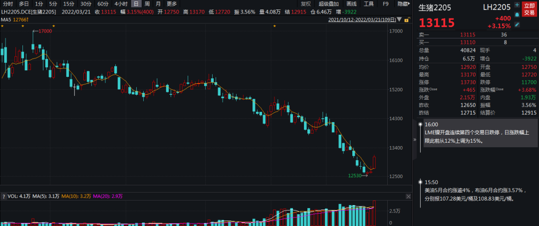 牛钱生猪日报2022.3.21